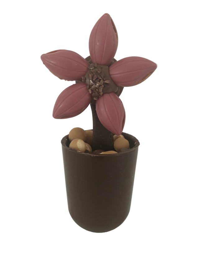 chocolade bloem