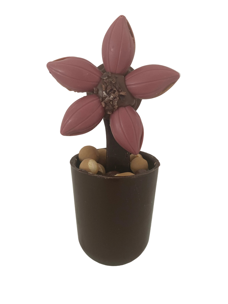 chocolade bloem
