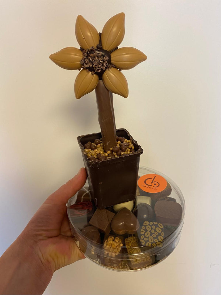 Zonnebloem voor Moederdag